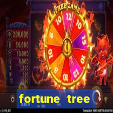 fortune tree cassino demo